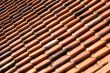 Tile on the roof