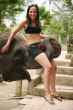 Elephant and the girl