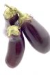 aubergine macro