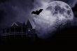 Haunted Halloween Illustration Mansion and Bat