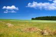 rural landscape