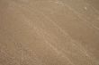 The sand background with line texture