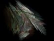 Leaf2