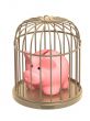 Piggy bank closed in a cage