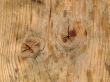Wooden surface