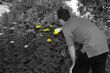 Adding Color To Life