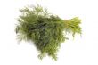 dill on white