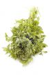 parsley