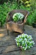 Decoration chair