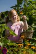 Girl is plucking flowers