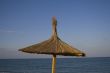 Single thatched umbrella