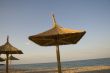 Thatched umbrellas