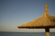 Single thatched umbrella