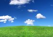 panoramic view of peaceful grassland