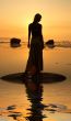 seashore silhouette