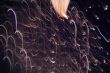 Firework