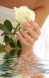 rosebud