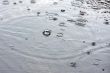Drops of a rain