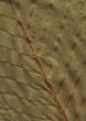 chestnut leafs