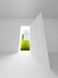 Landscape behind the open door. 3D image