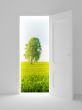 Landscape behind the open door. 3D image