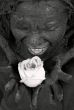 rosebud