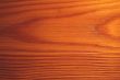 The varnished larch