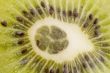 kiwi macro