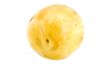 Yellow plum