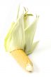 corn cob