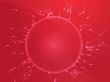 Egg fertilization illustration