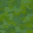 Camouflage pattern texture