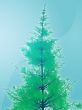 Pine tree illustration