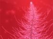 Sparkly christmas tree illustration