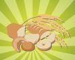 Abundance of bread