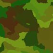 Camouflage pattern