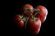 tomatos