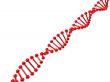 dna structure over white