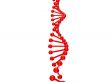 dna structure over white