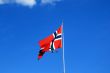 Norwegian flag and the bird