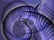 Swirly spiral grunge
