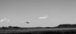 Plane Landing