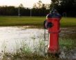 Morning Fire Hydrant