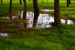 Wet Park