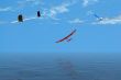 Leisurely Flight