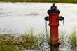 Fire Hydrant