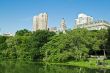 Skyscrapers  and trees