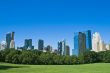 Skyscrapers and a park