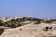 Olive mount in Jerusalem