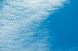 Clouds.